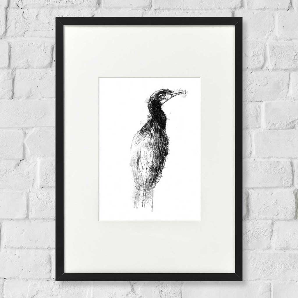 Cormorant