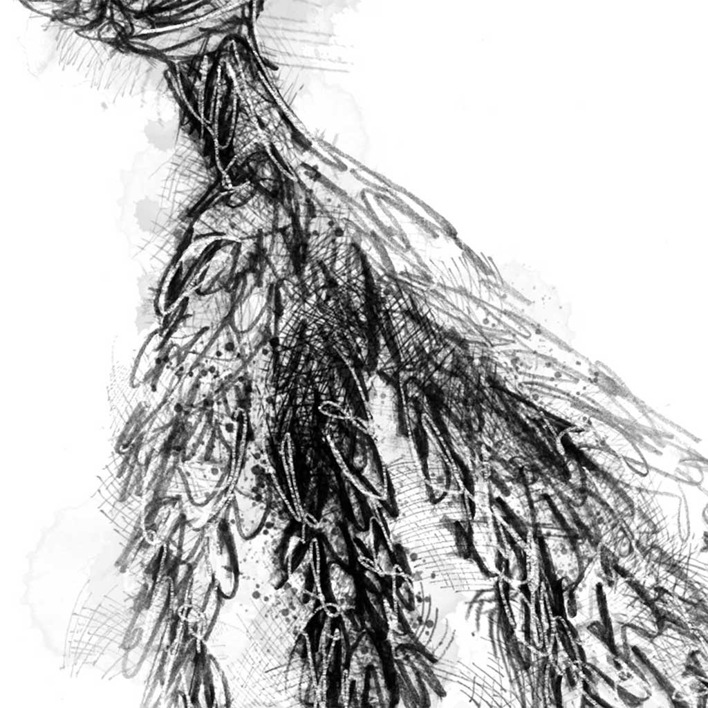 Corn dolly