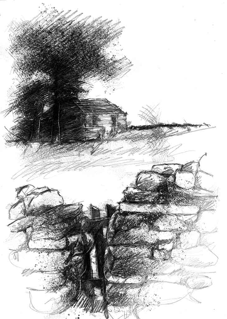 Abandoned cottage