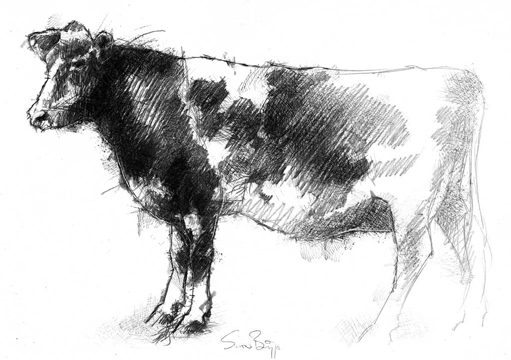 Guernsey cow