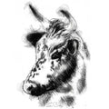 Speckled cow