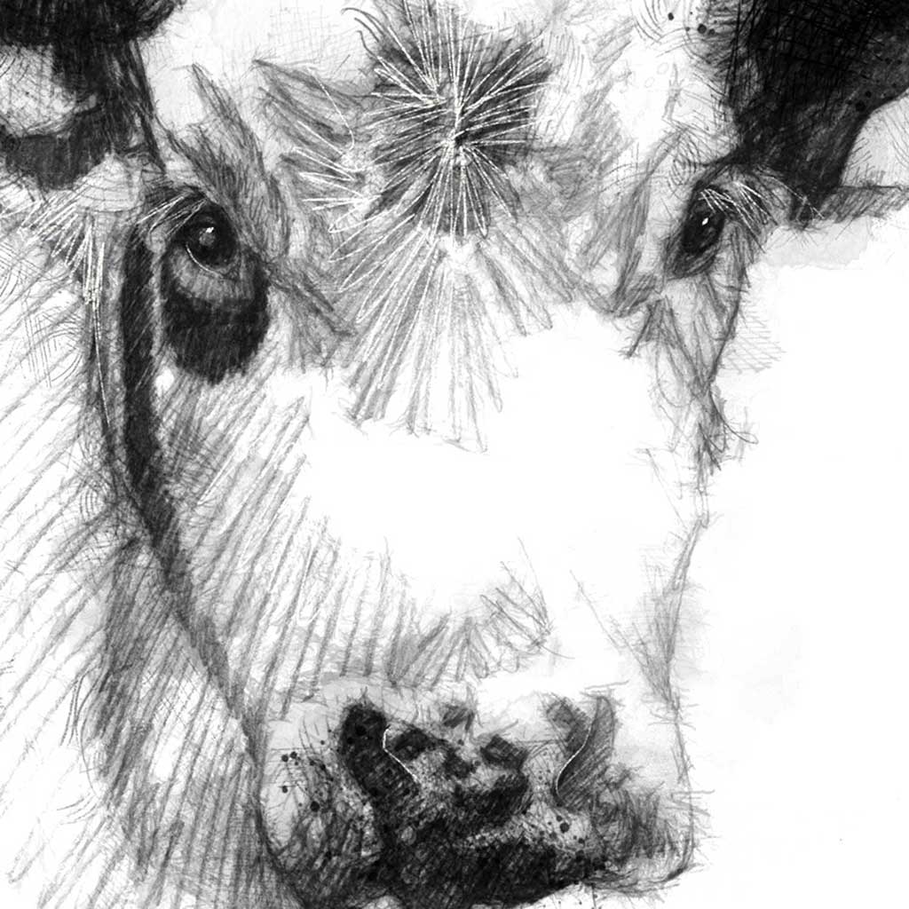 Cheeky cow
