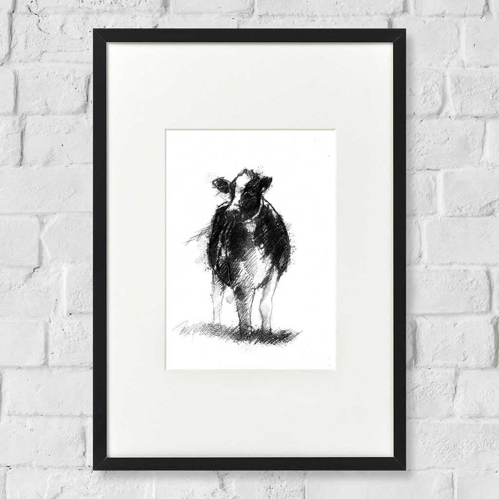 Dairy cow