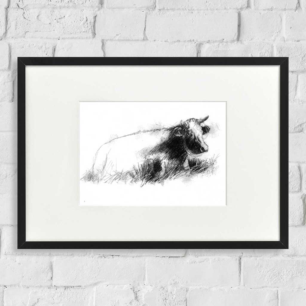 Cow resting