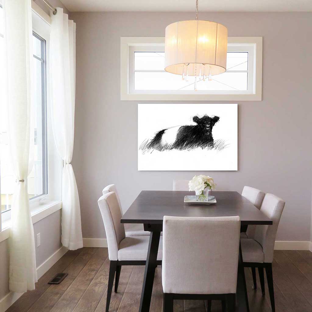 Belted galloway