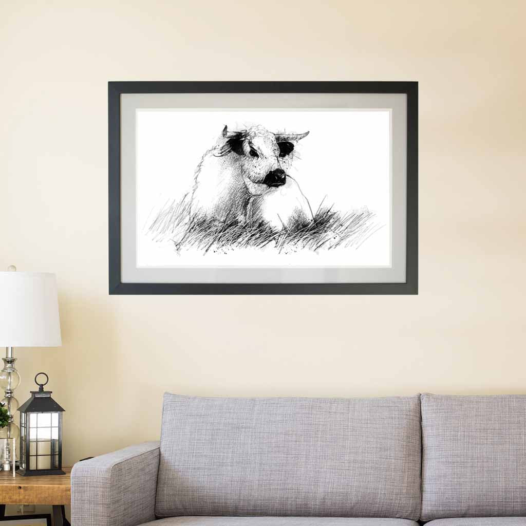 White park cow