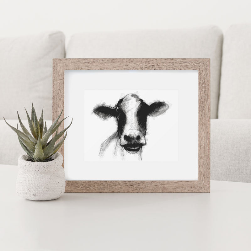 Dairy cow