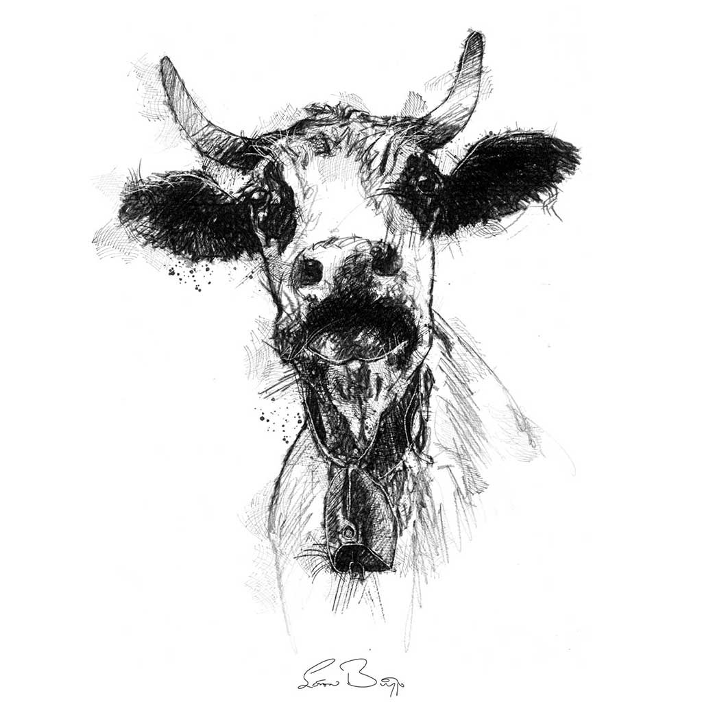 Cowbell cow