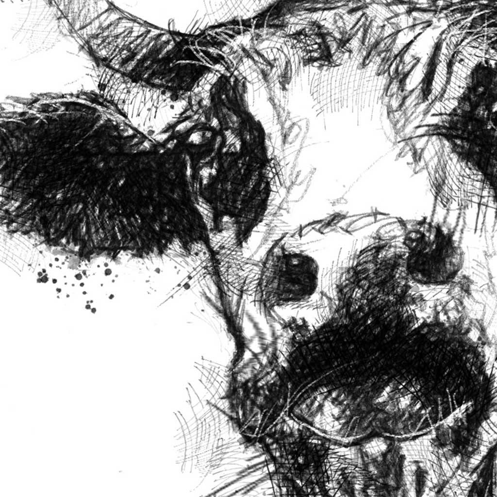Cowbell cow