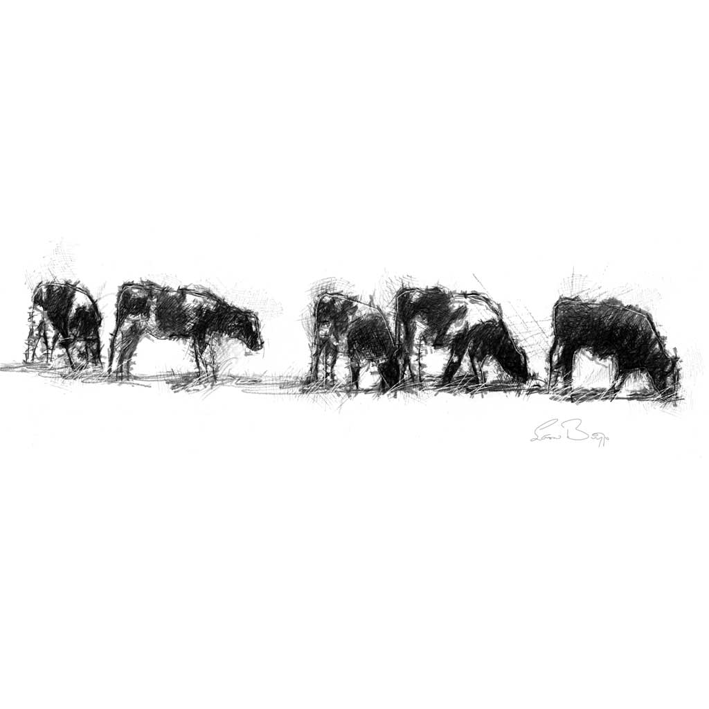 Cows grazing wide format