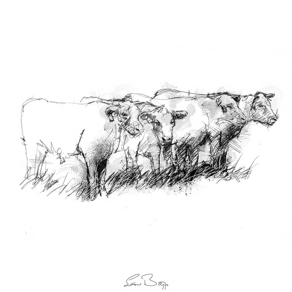 Cows in a row
