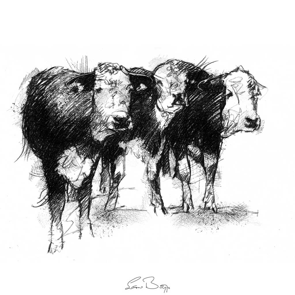 Three cows