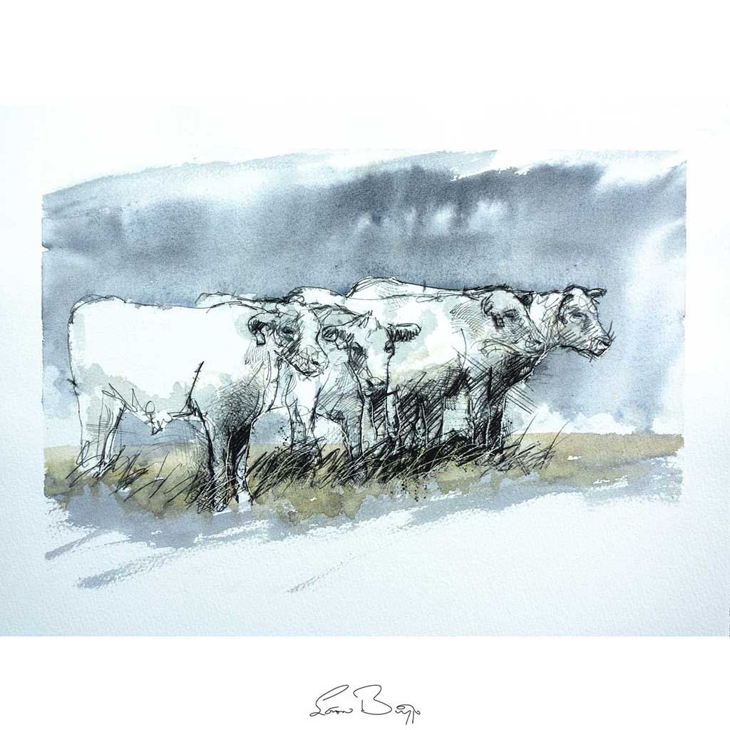 Storm cows