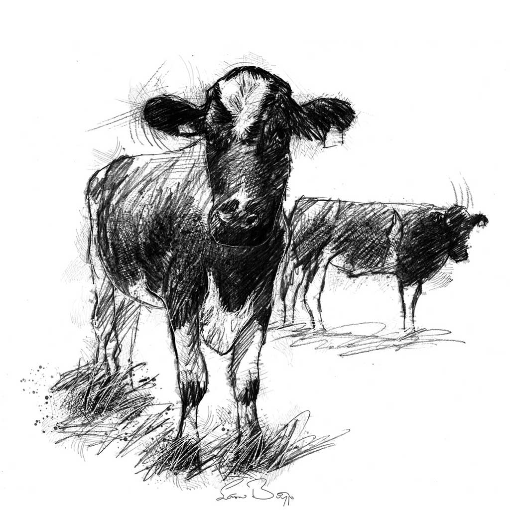 Two cows