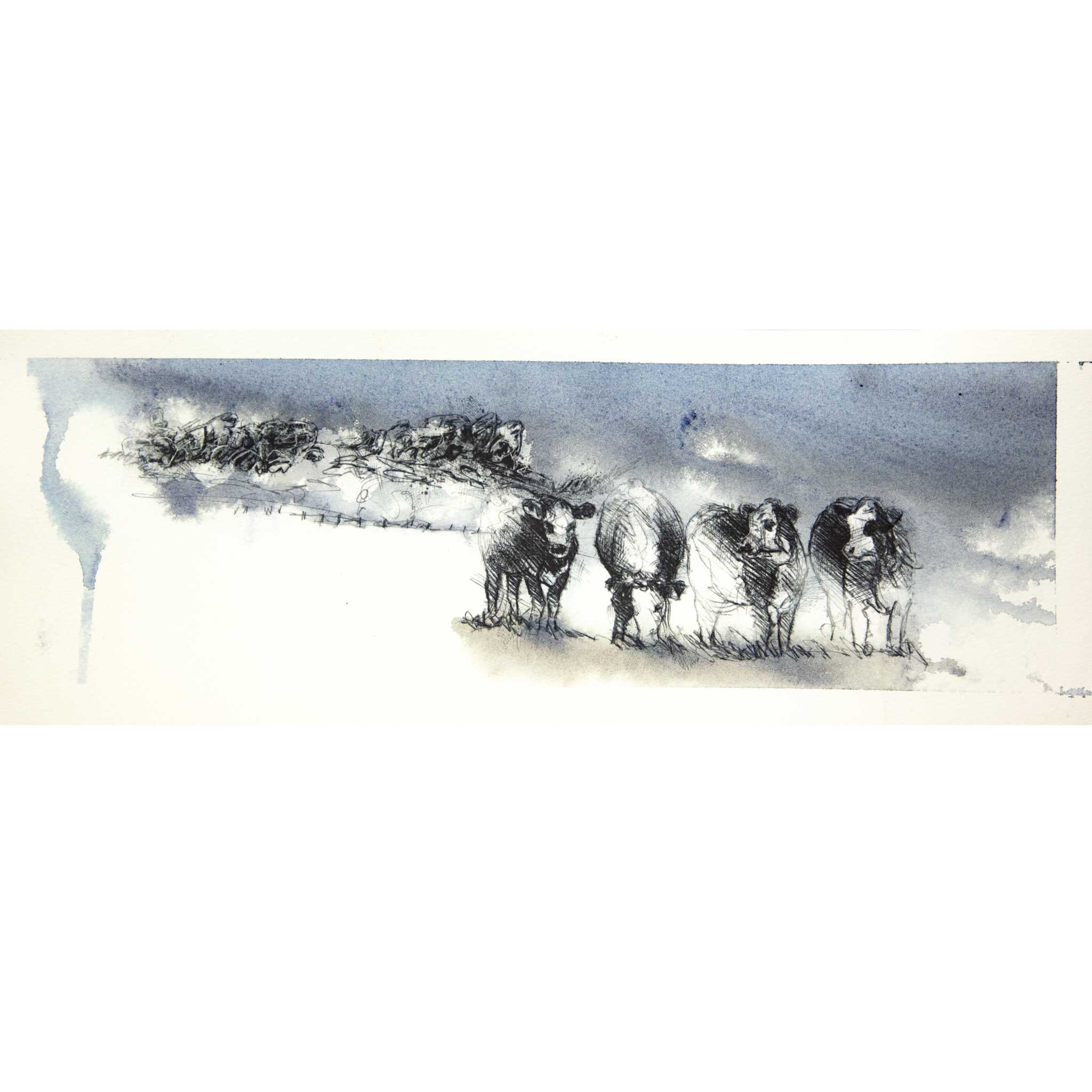 Cow storm - Colour Sketch | Original