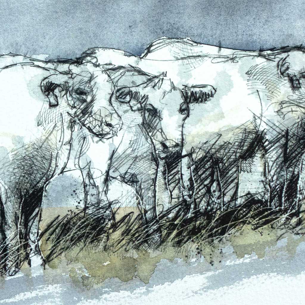 Storm cows