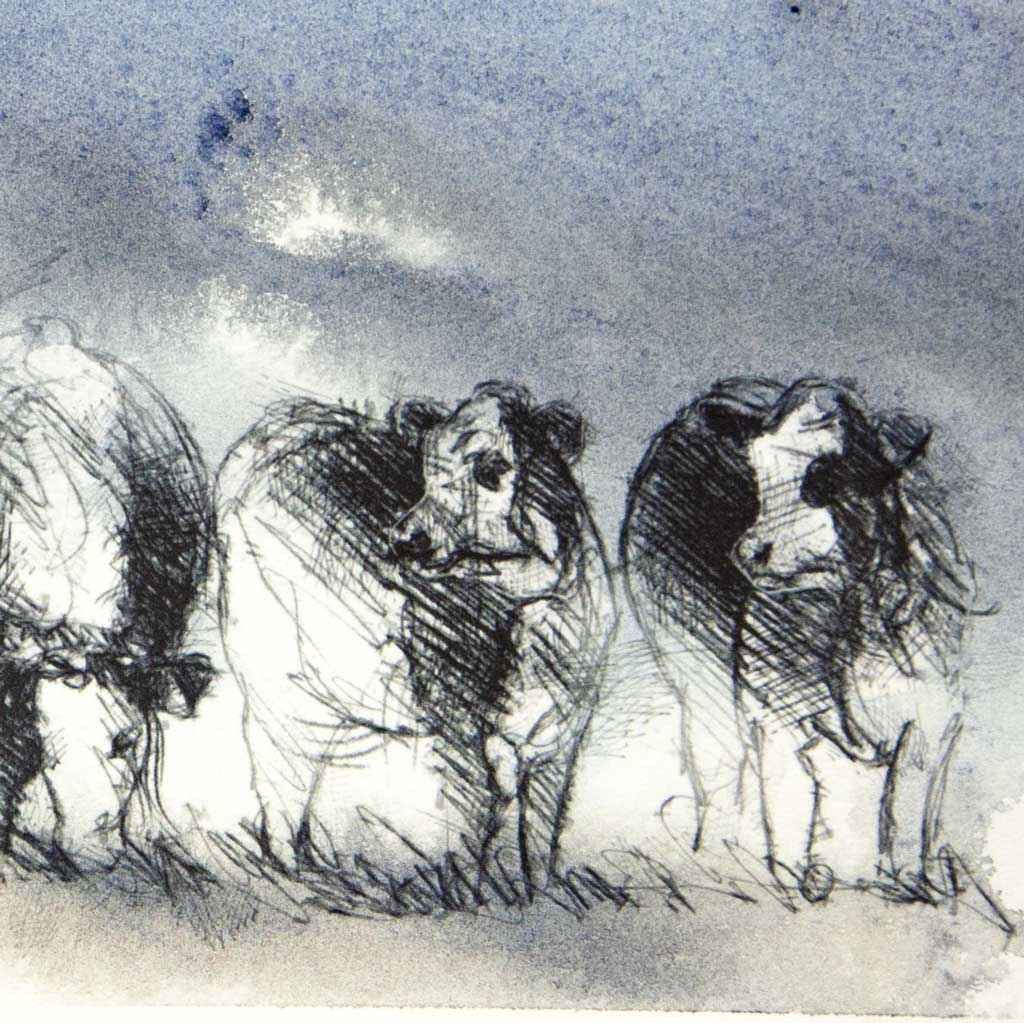 Cow storm - Colour Sketch | Original