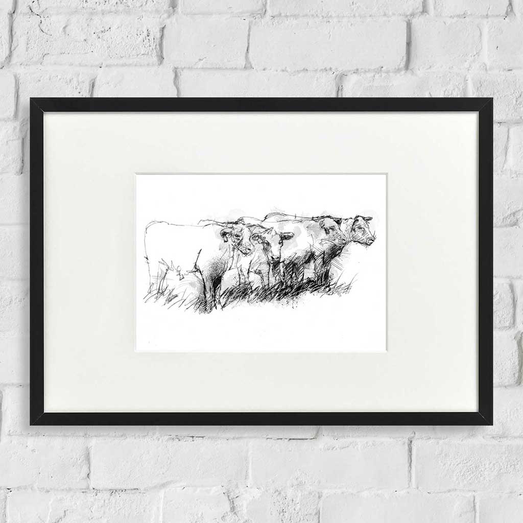 Cows in a row