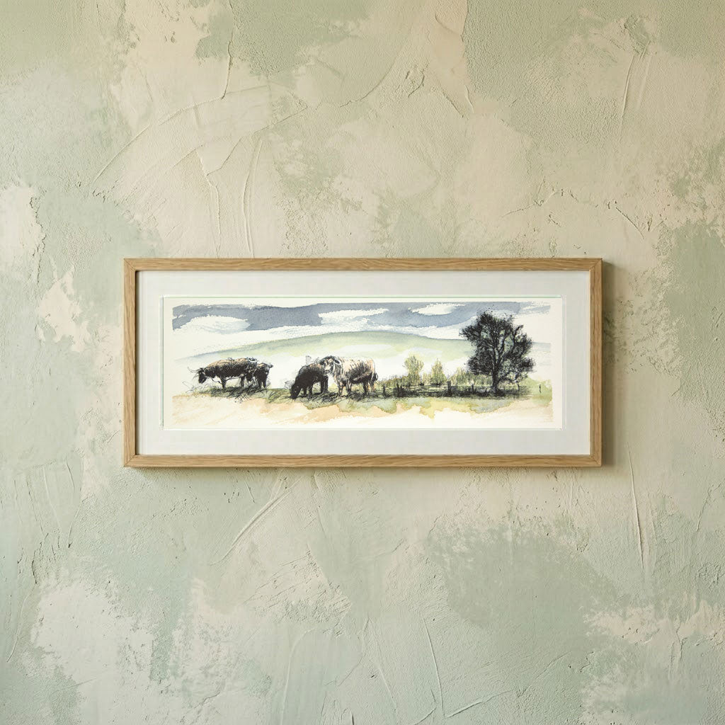 Longhorn cows - Colour Sketch | Original
