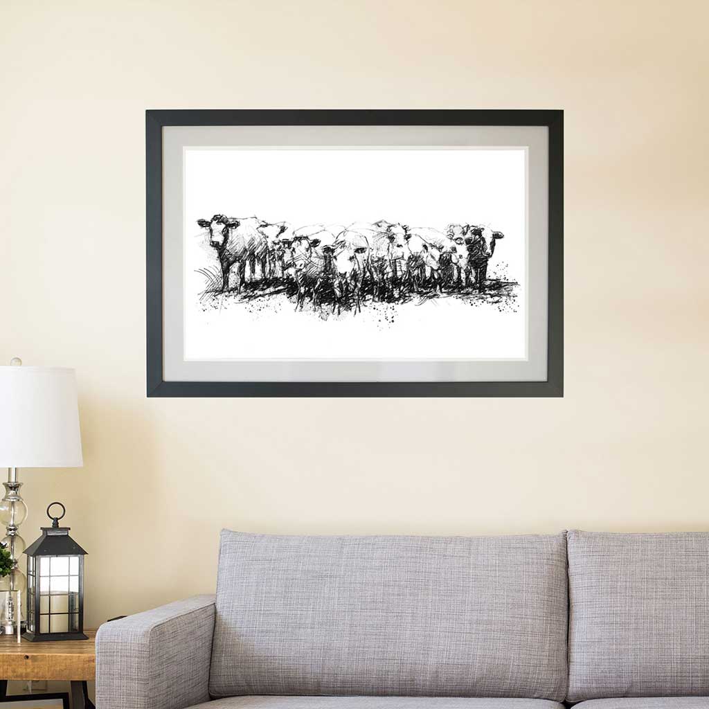 Herd of heifers