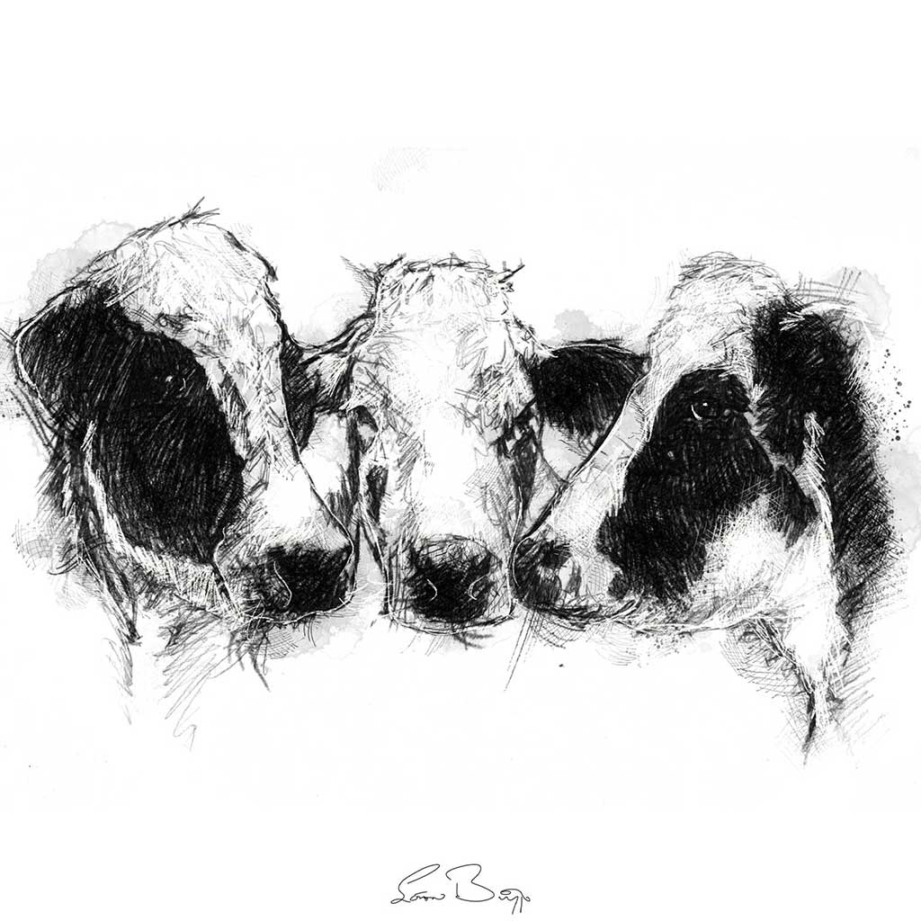 Cows chatting