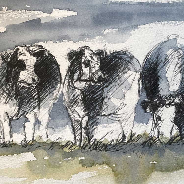 Moorland cows one off sketch