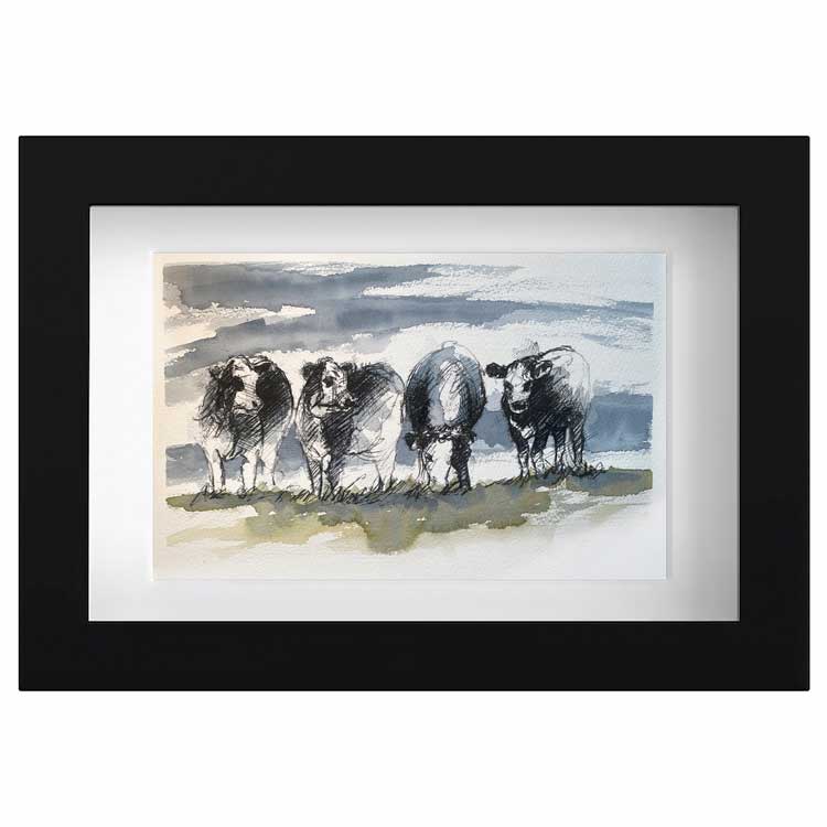 Moorland cows one off sketch