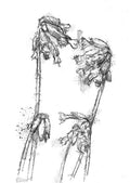 Cowslip