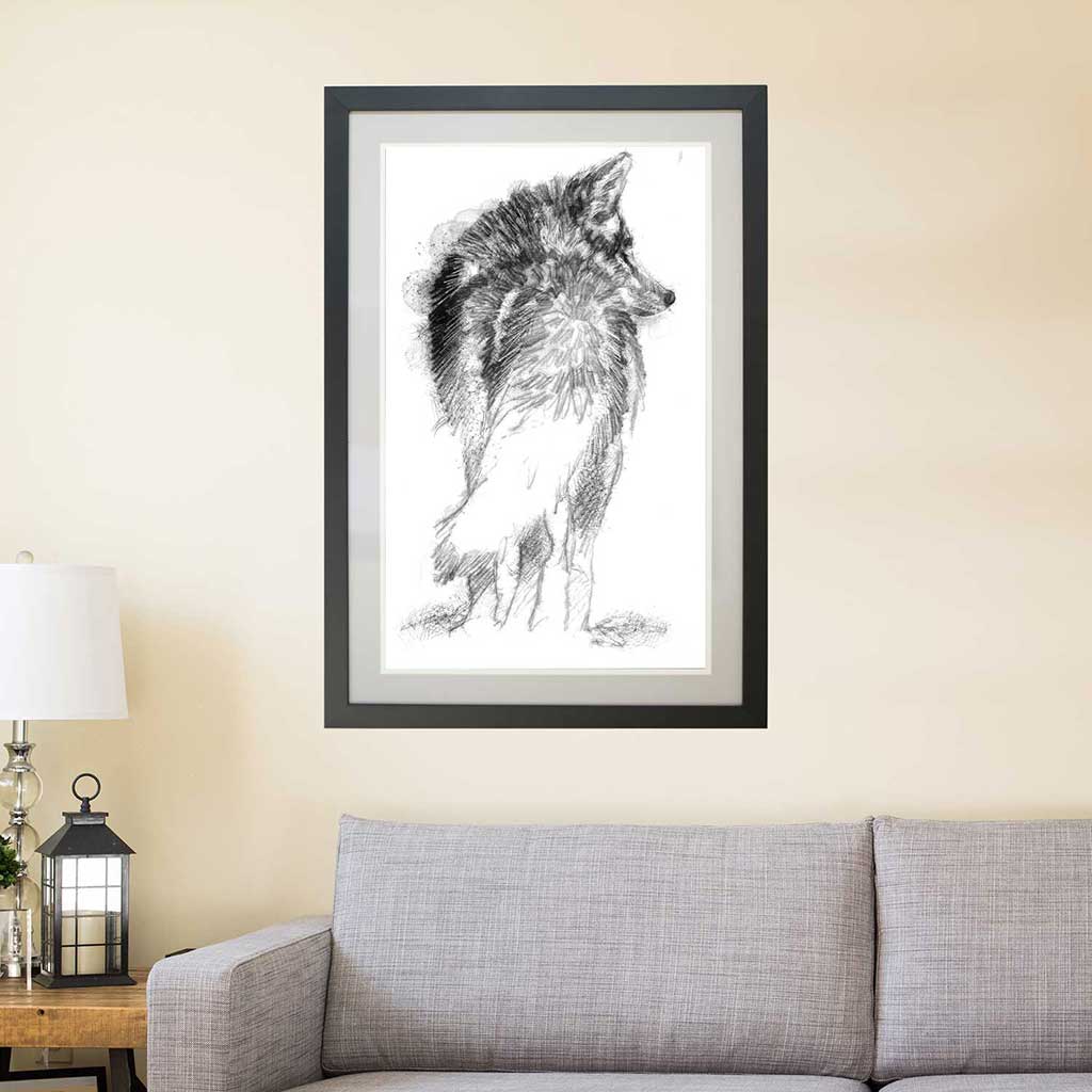 Coyote