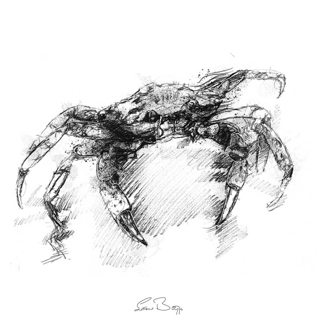 Crab