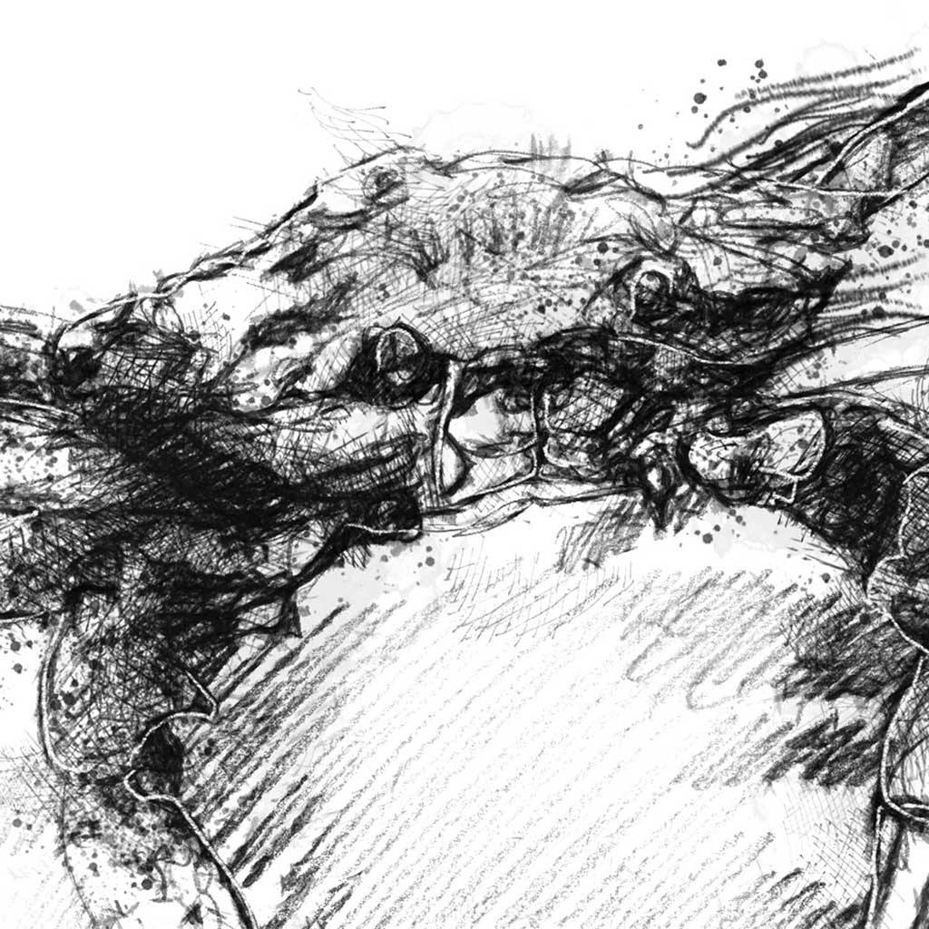 Crab