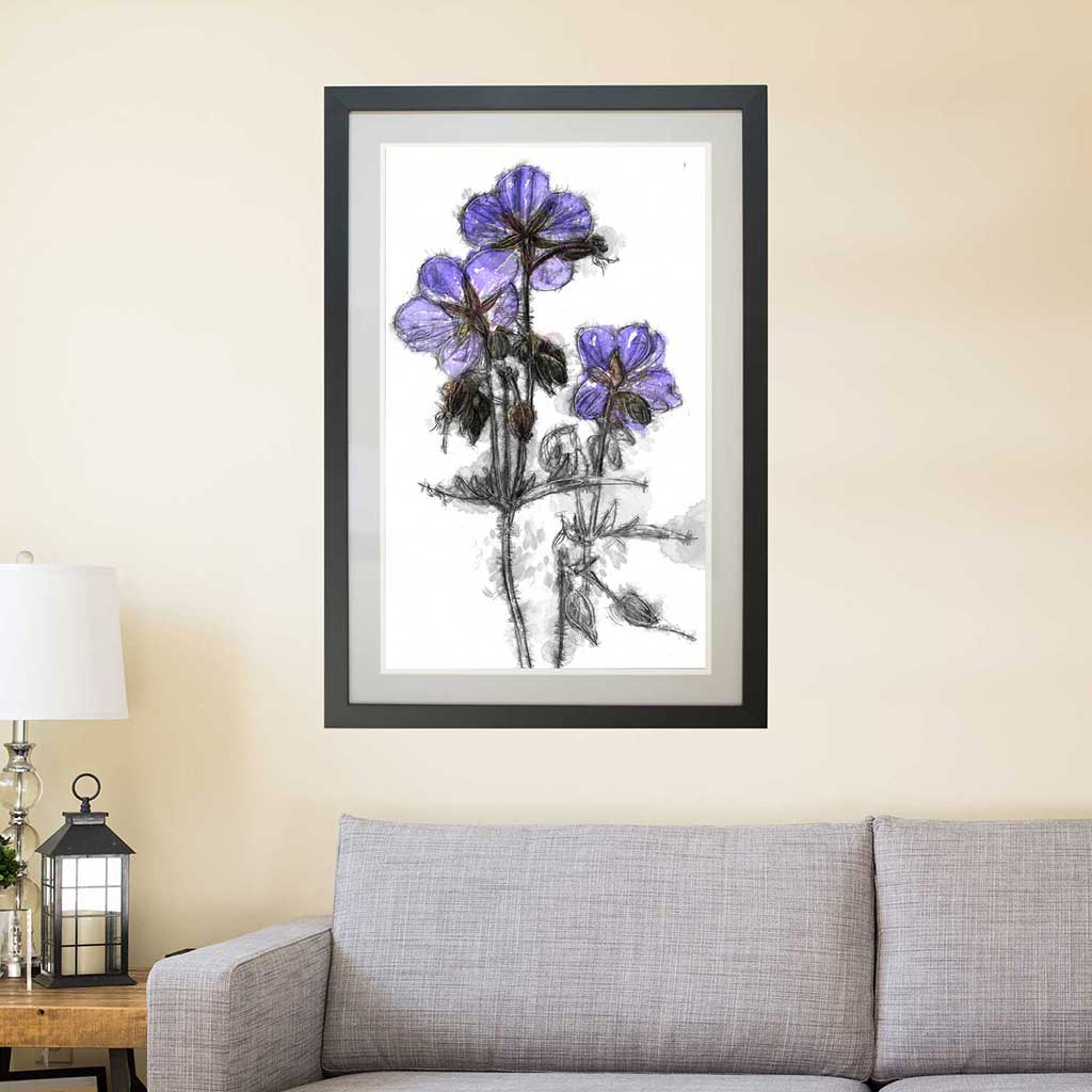 Cranesbill