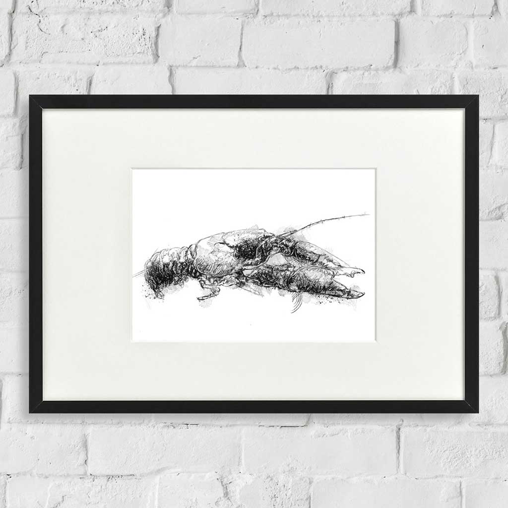 British crayfish