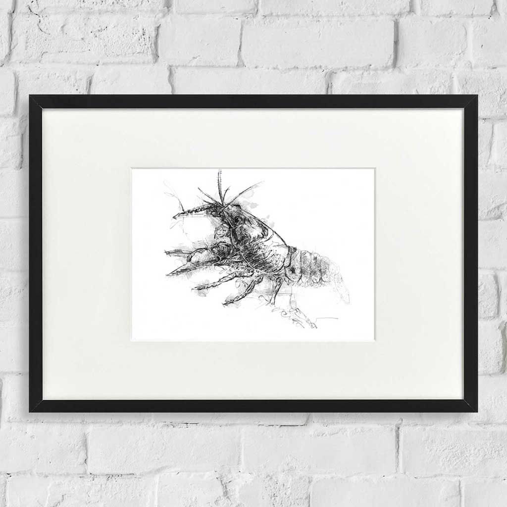 Crayfish