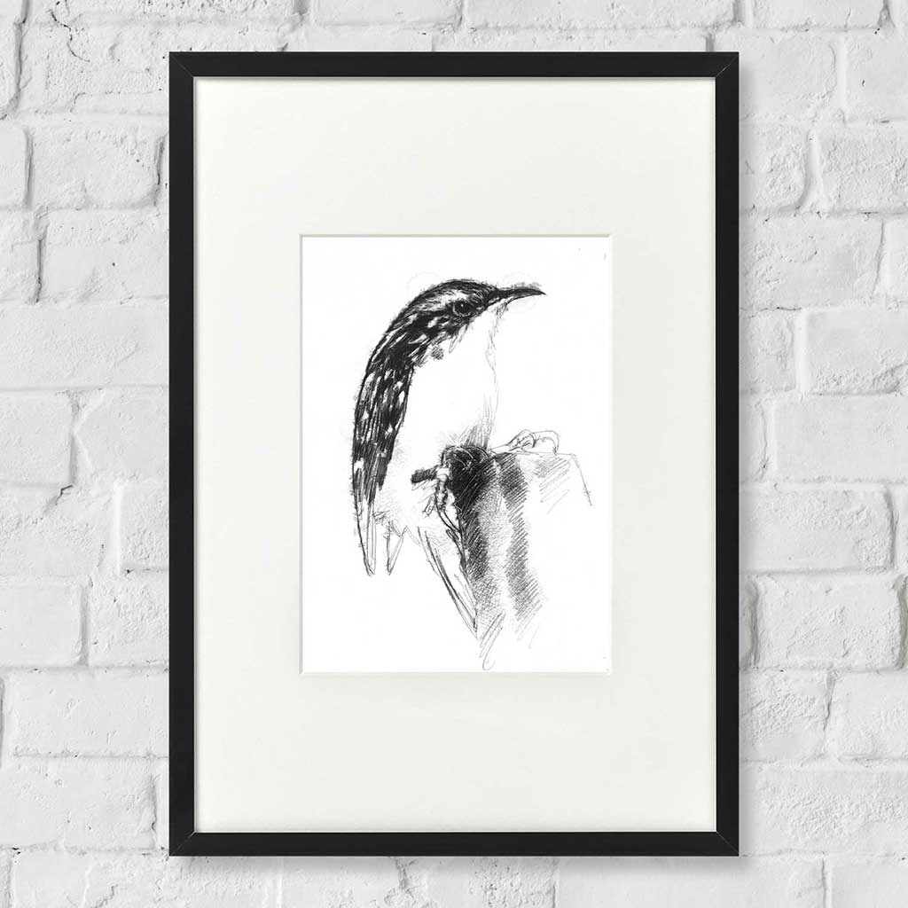 Tree creeper