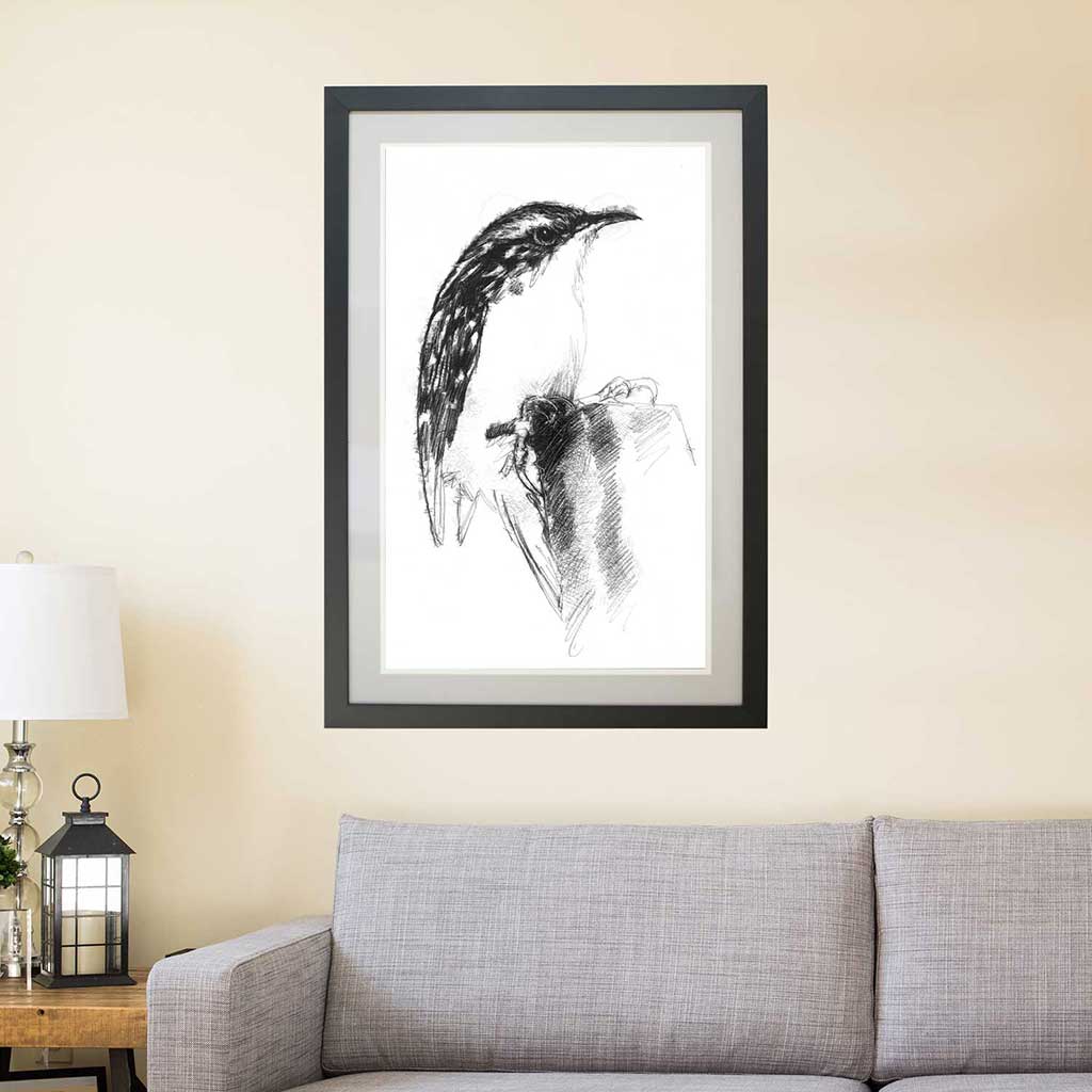 Tree creeper