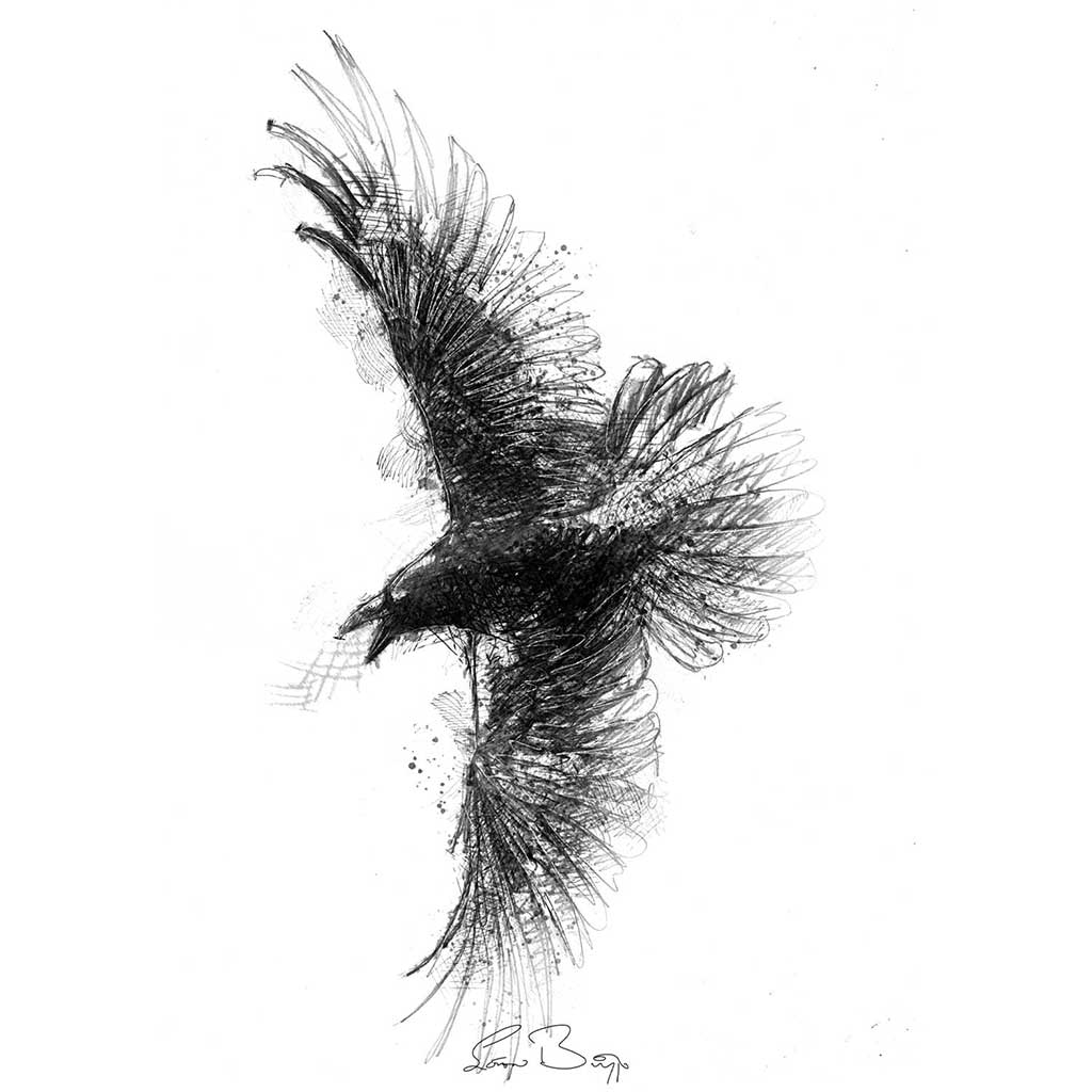 Crow flight