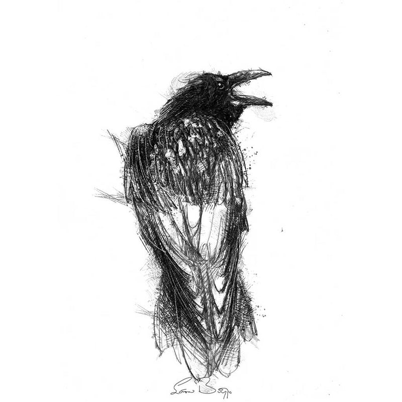 crow