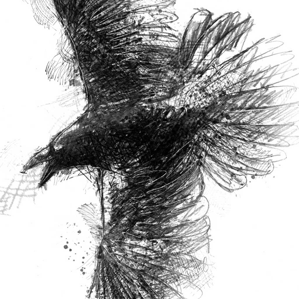 Crow flight