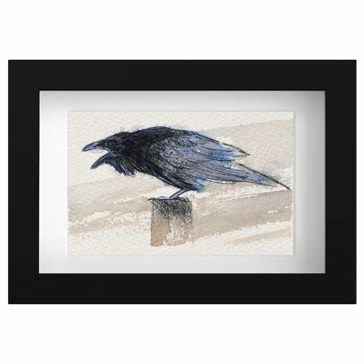 Carrion crow original mini sketch