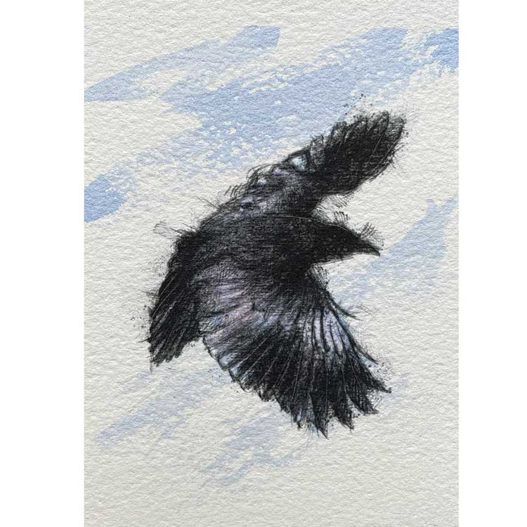 Crow flight mini sketch