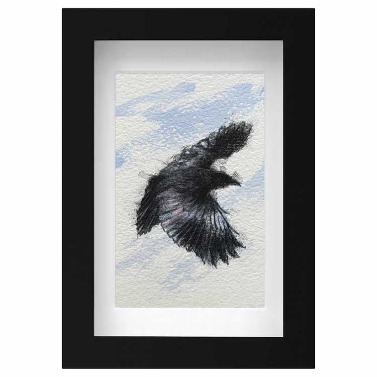 Crow flight mini sketch