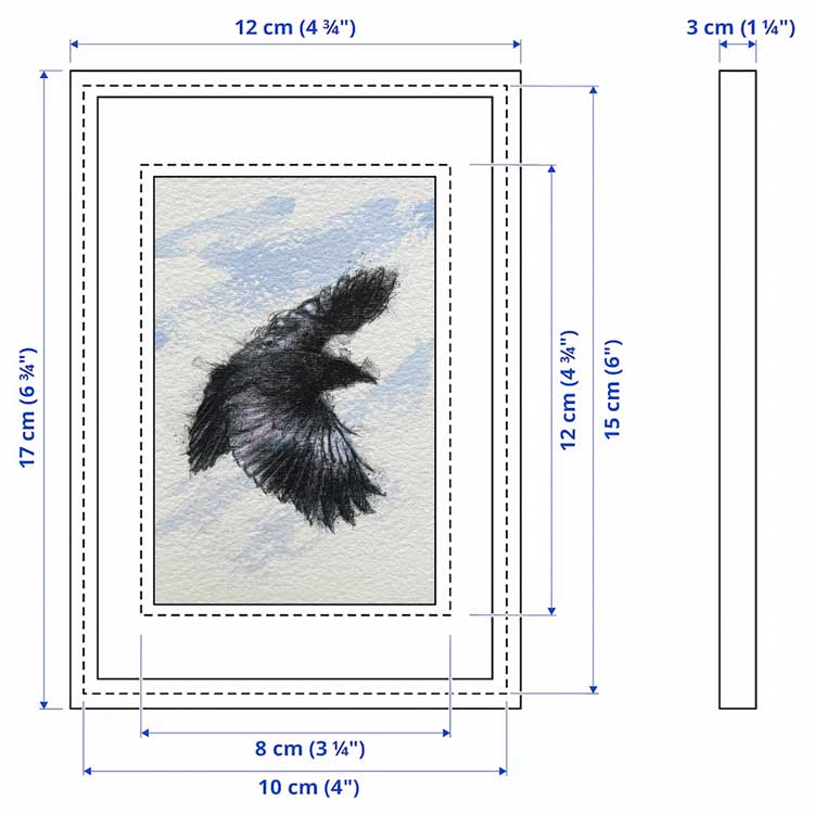 Crow flight mini sketch