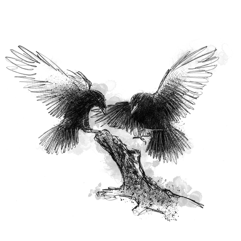 Black and white sketch of two crow birds with spread wings perched on a branch, rendered in a textured ink style on a white background.