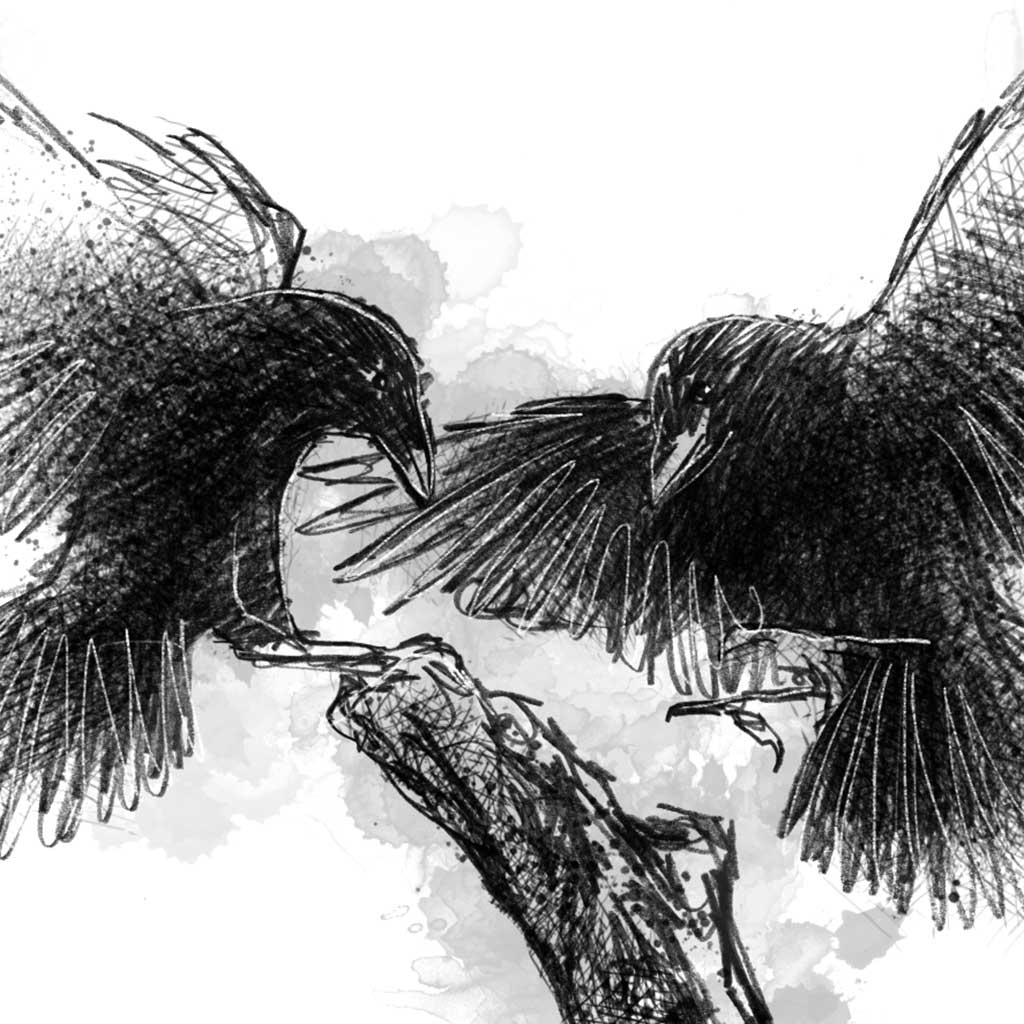 Crows landing - BW Sketch