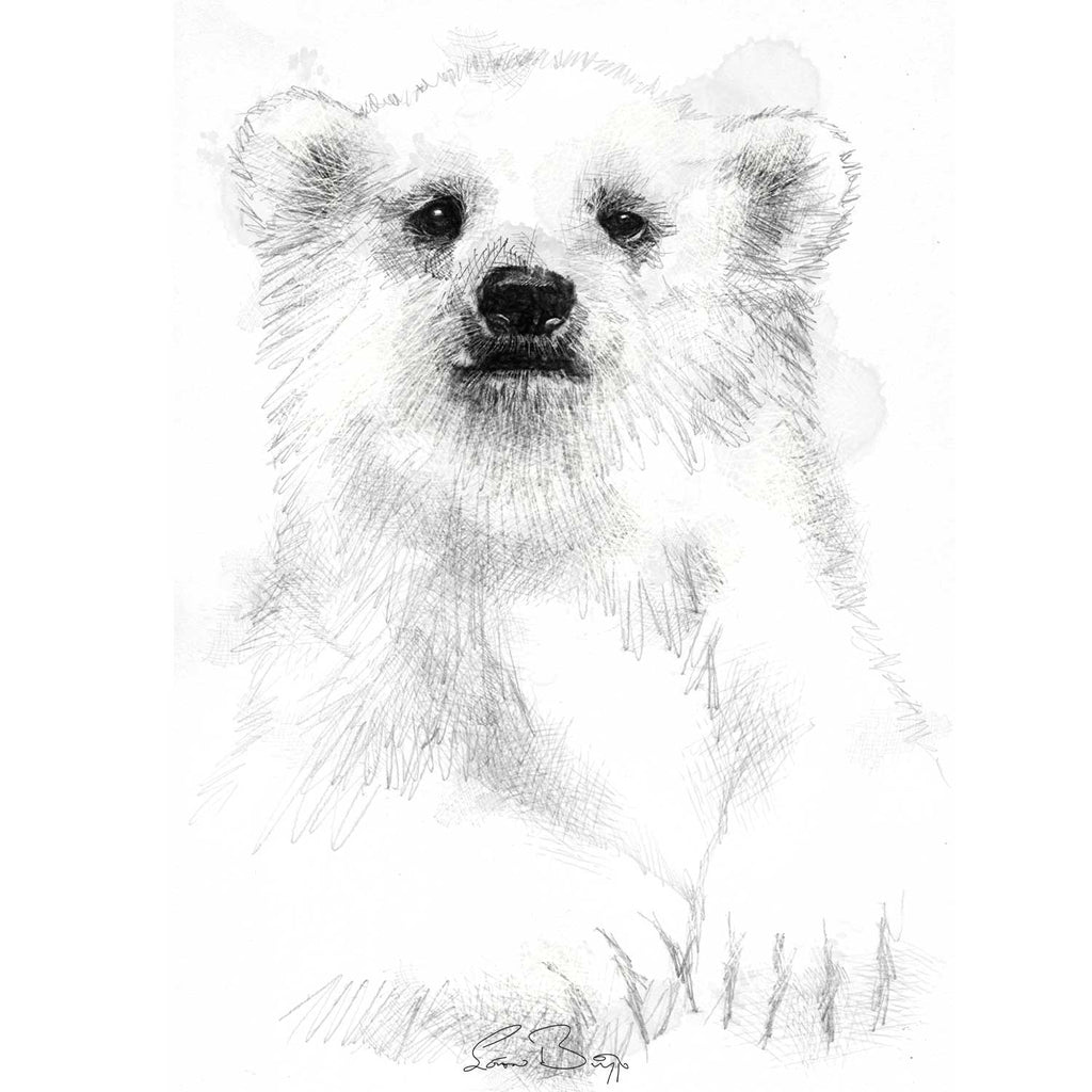 Polar bear cub