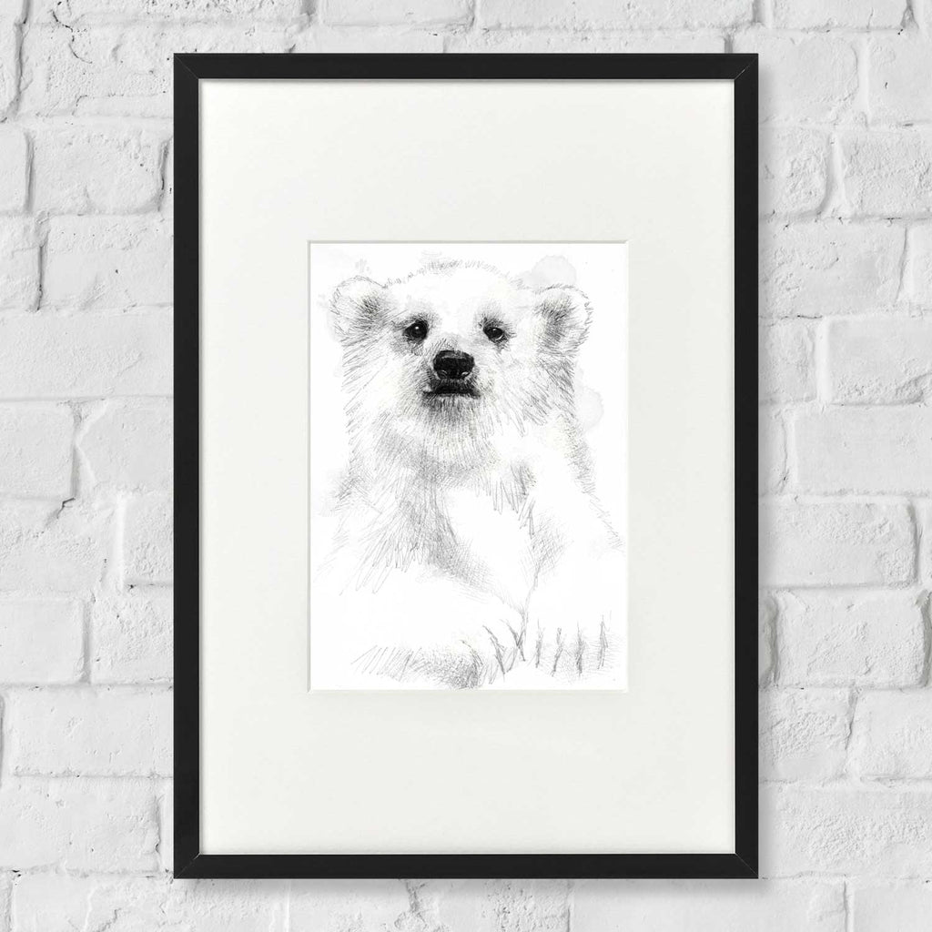 Polar bear cub