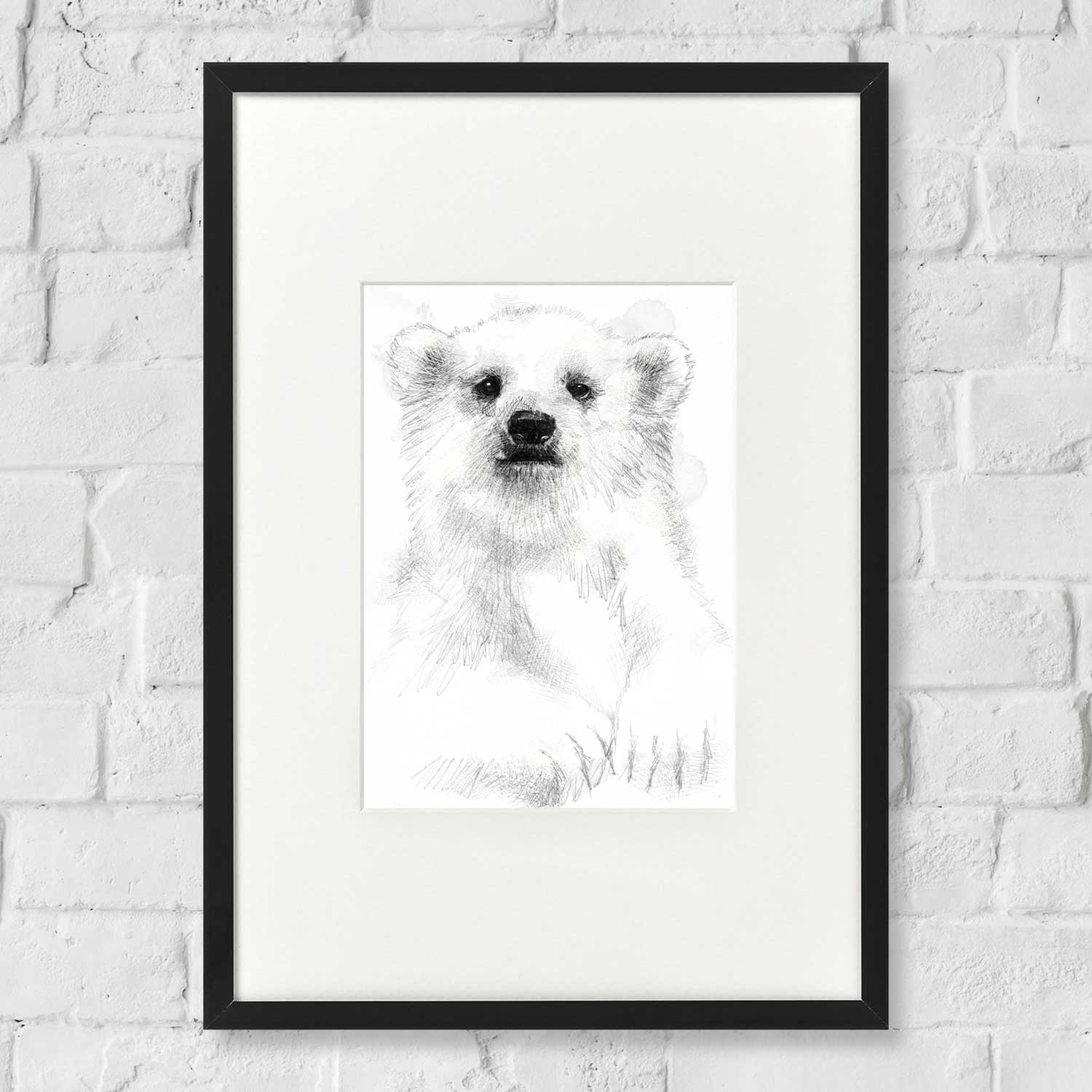 Polar bear cub