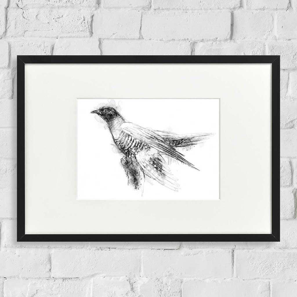 Cuckoo