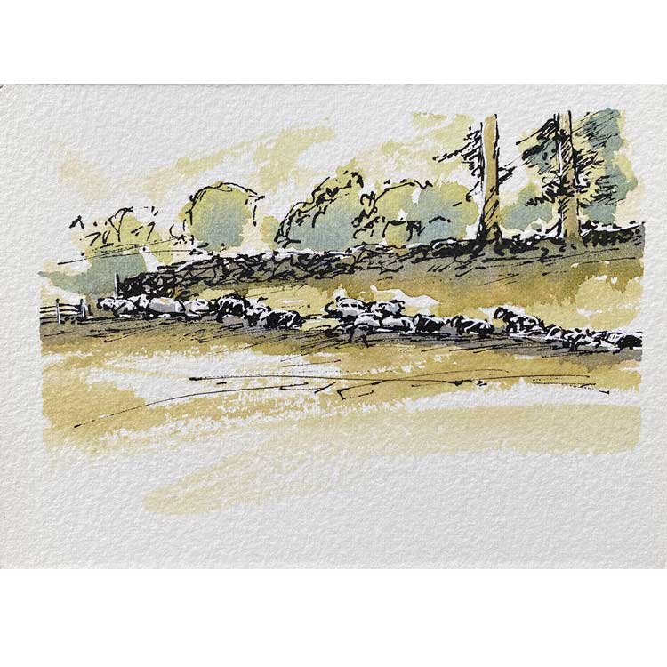 Cumbrian walls mini sketch